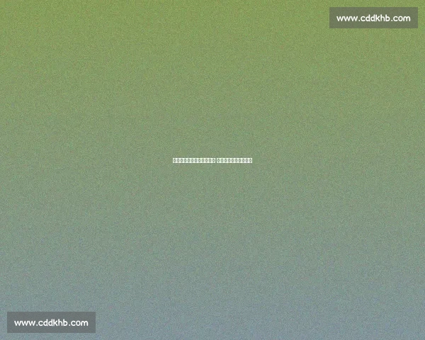 东契奇板凳席写意三分入网 天赋与苦练的完美注脚 东契奇板凳席写意三分入网 天赋与苦练的完美注脚