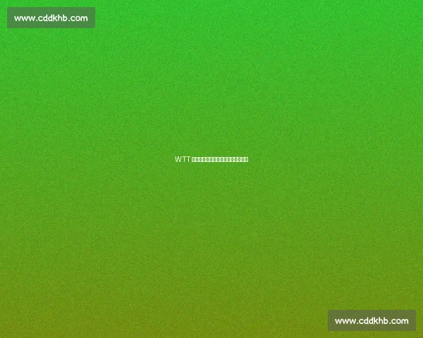 WTT 澳门赛首轮焦点：王曼昱迎战郑怡静