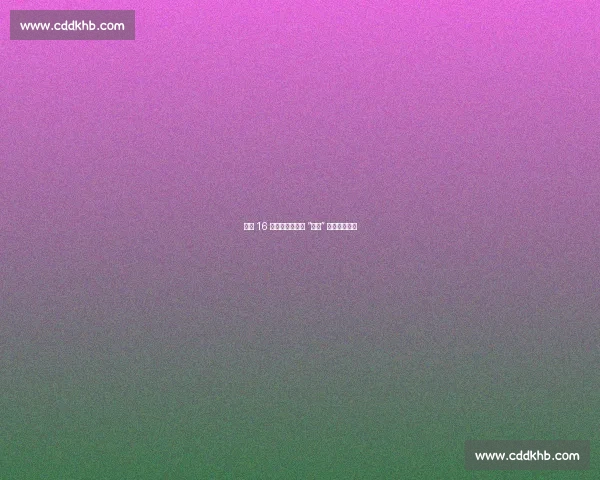 中越 16 支队伍凭祥激战 “县超” 气排球友谊赛