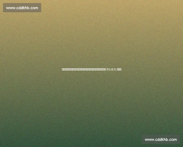 杨瀚森白衣闪耀富保罗庆功宴！湖人锋线新星助阵，四首轮秀彰显 Klutch 统治力