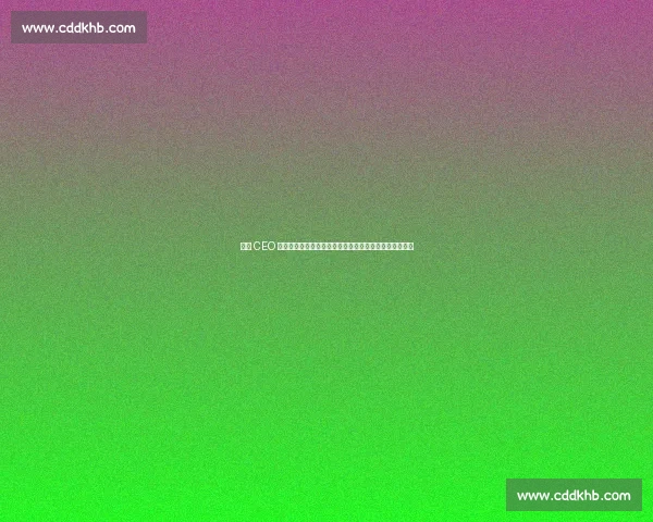 曼联 CEO 贝拉达力挺新球场计划：政府支持是区域复兴的关键引擎