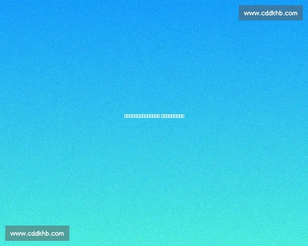 泽林斯基与比塞克恢复完整合练 国米新援组加速融入