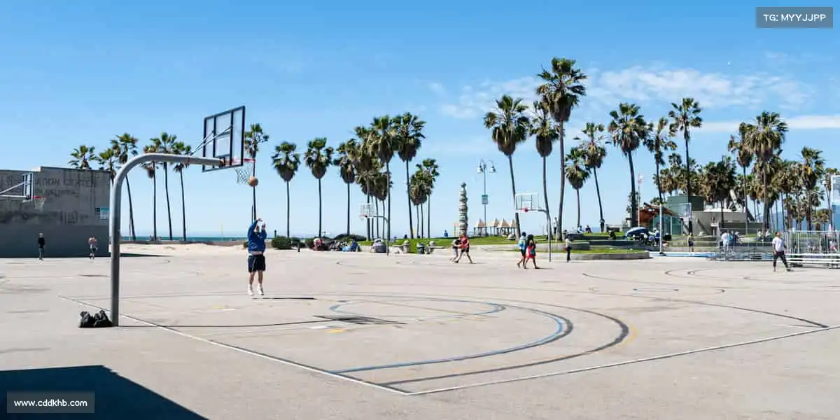 行业领先的理由